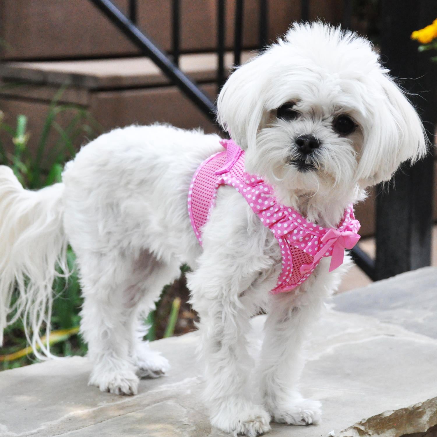American River Choke-Free Dog Harness by Doggie Design - Pink Polka Dot - X-Small