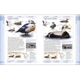 thumbnail image 3 of Oiseaux d'Amérique du Nord, 3 of 5