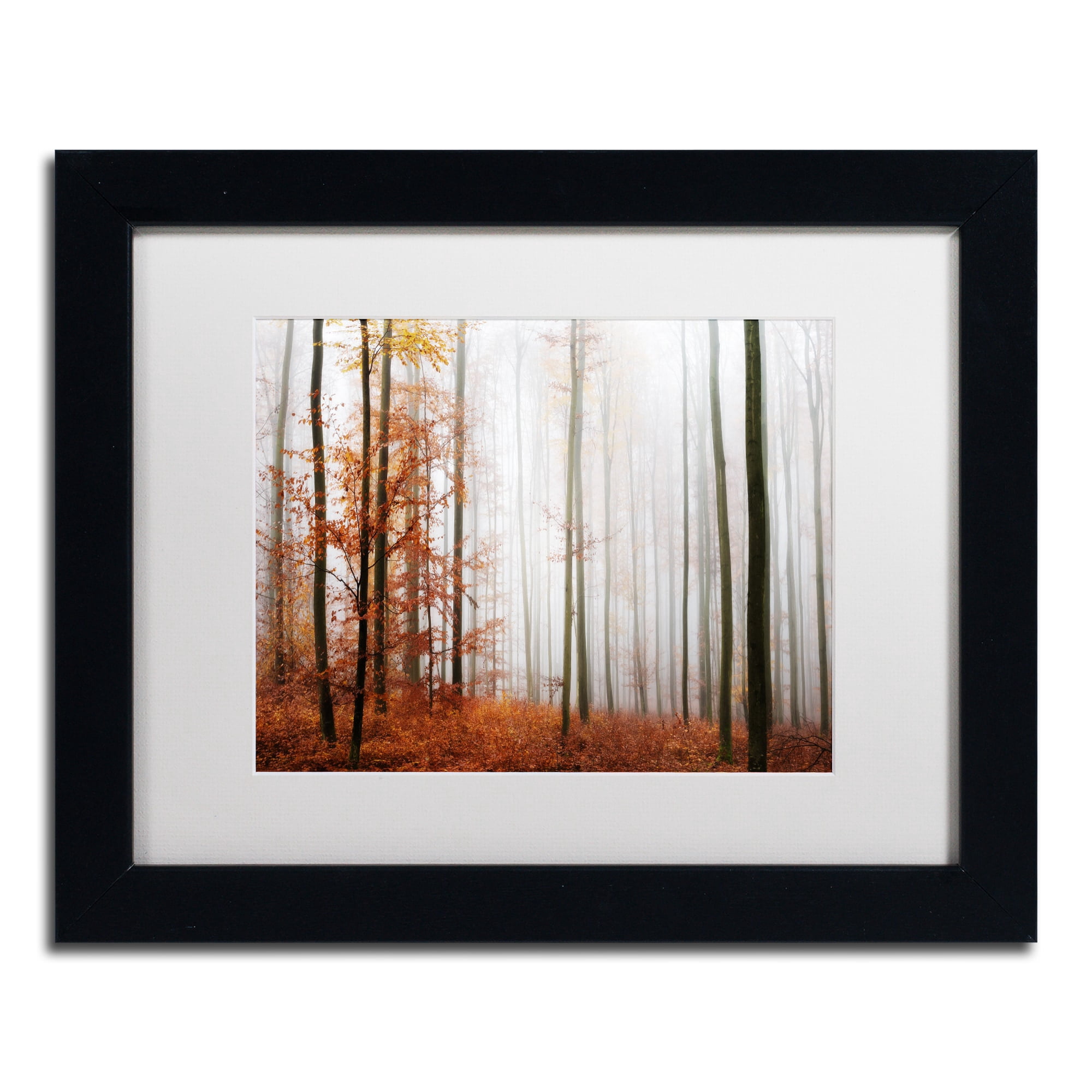 Trademark Fine Art "Forest Corner" Canvas Art by Philippe Sainte-Laudy White Matte, Black Frame