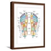 Art.com Reflexology Foot Map, Artwork Photographic Print by Peter Gardiner, Brown Frame Wall Art, 17" x 21"