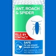 thumbnail image 5 of Zevo Crawling Insect Killer (10oz), 5 of 6