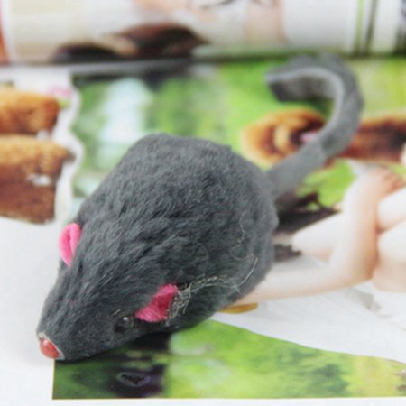 2 Pieces Souris Chat Jouets Realiste Chaton Souris Jouets Chat Macher Jouets Souris Animal Chat Jouet Walmart Canada