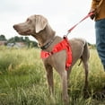 thumbnail image 3 of MASBRILL No Pull Dog Harness, Easy Walk Dog Harness,Mesh Breathable Padded Dog Vest Harness Step-in No Choke Adjustable Dog Harness for Small Medium Large Dogs - Red L, 3 of 7