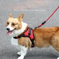 thumbnail image 3 of Saddle Dog Harness Reflective Adjustable Pet Harness No Pull Walking Training Small Large Big Dogs Chest Strap Product, 3 of 5