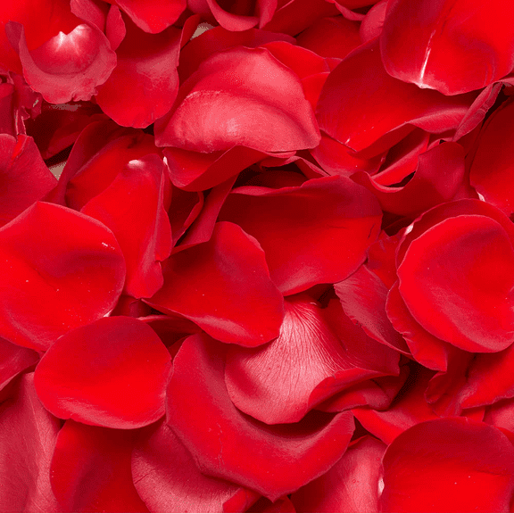 3500 Red Rose Petals- Beautiful Fresh Cut Flowers- Express Delivery