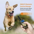 thumbnail image 1 of Chien Formateur, 1 of 8