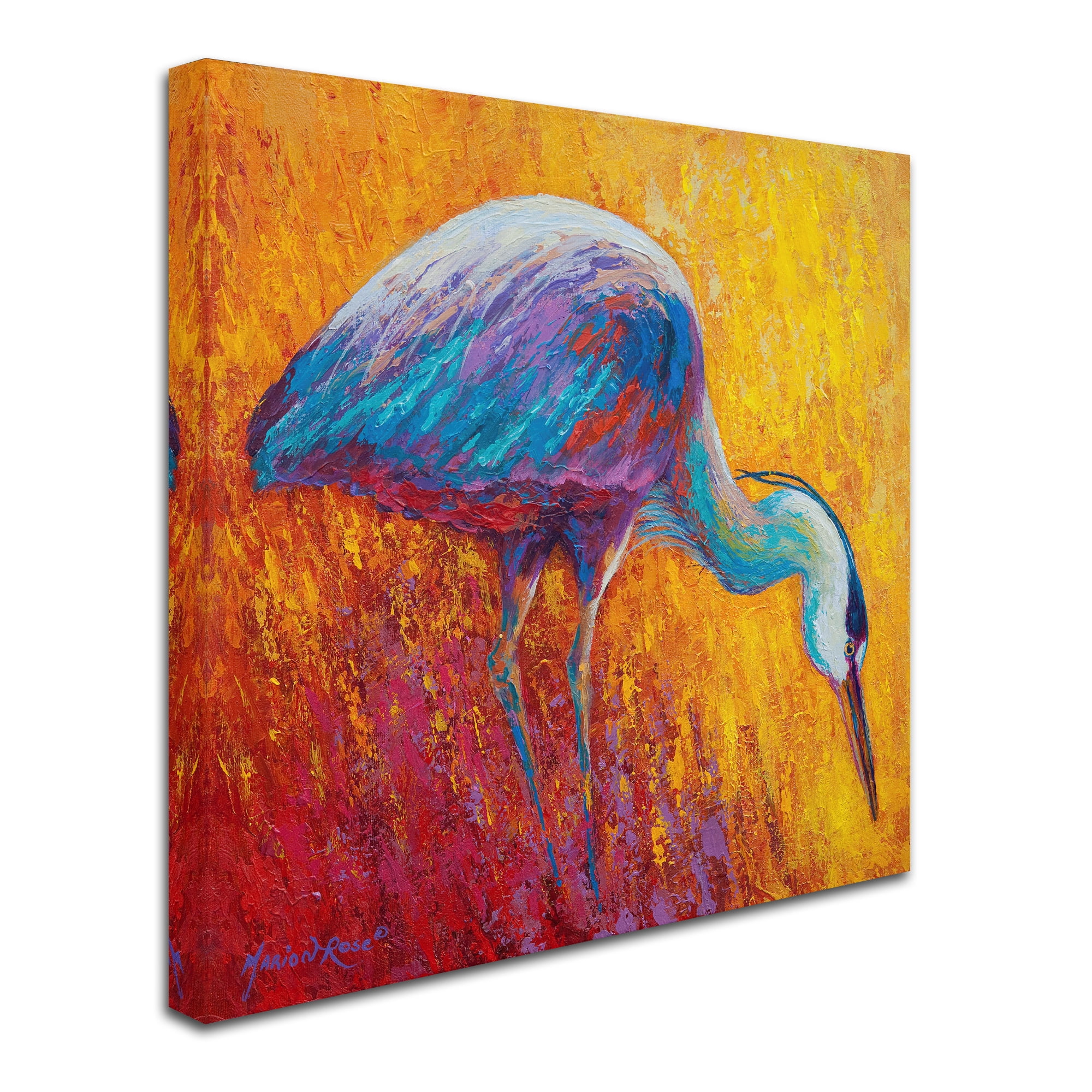 Trademark Fine Art 'Daddy Long Legs IV' Canvas Art by Marion Rose