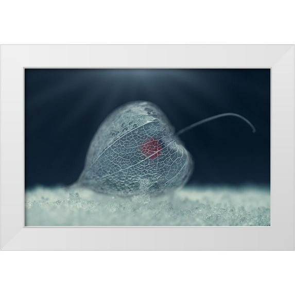 Georgieva V, Nikki 24x17 White Modern Wood Framed Museum Art Print Titled - Heart of Nature