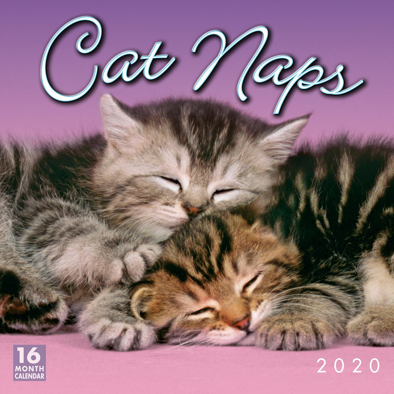 Details about   Cat Naps 2020 Wall Calendar 16-Month 12" x 12" 