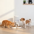 thumbnail image 3 of SHOUFTW 6L Automatic Pet Feeder - Programmable Timed Dry Food Dispenser, Smart Automatic Pet Feeder with APP Control, Voice Recorder & Portion Control, White, 3 of 5