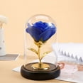 thumbnail image 5 of Mecorevxz Rose Flower Gifts for Women, Forever Rose, Galaxy Rose Flower Light Up in Glass Dome, Rose Gifts for Women Mom Wife Girlfriend (Blue), 5 of 6