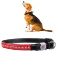 thumbnail image 5 of LED mascota brillante ajustable seguridad recargable collar carga USB para gato pequeño Dogred L, 5 of 5