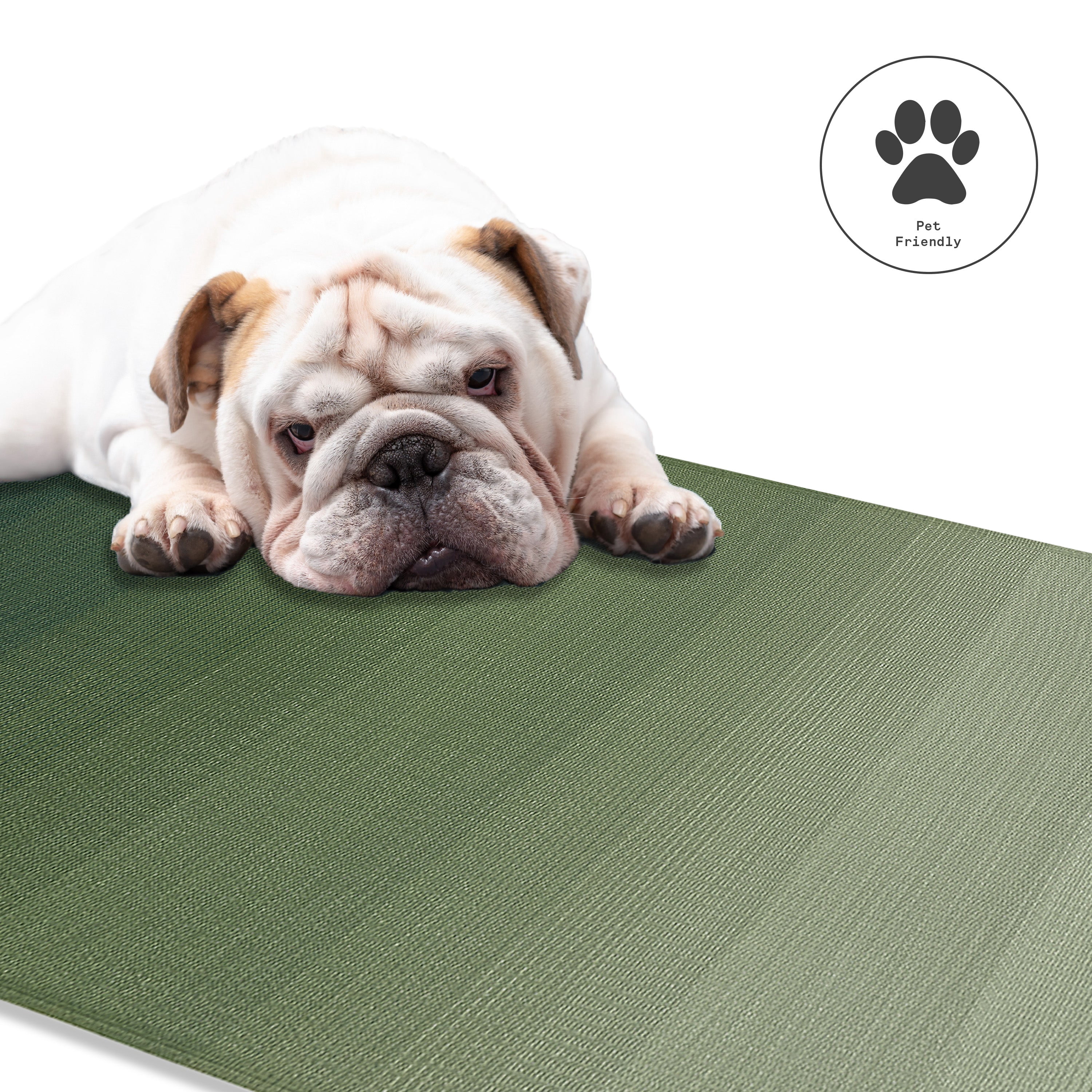 Fab Habitat Ombre Outdoor Rug - Waterproof, Fade Resistant, Crease-Free - Premium Recycled Plastic - Striped - Patio, Porch, Deck, Balcony - Big Sur - Green - 5 x 8 ft