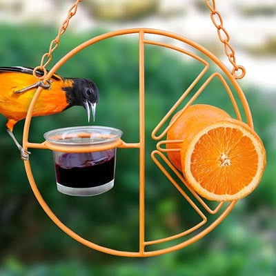 Oriole Wild Bird Feeder Holds Two Orange Halves, Bird Feeder Holds Jelly, Nectar or Mealworms for Bird Feeding