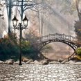 thumbnail image 2 of EREHome Polyester Fabric 5x7ft Fall Light Bridge Tree Rock River Park backdrops wall wedding party backgrounds, 2 of 2