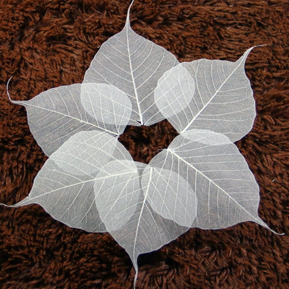 FRCOLOR Transparent Plastic Leaf Vein Bookmarks for DIY Craft Projects and Book Decoration 10 Pieces