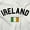 White, variant on Irish Flag Ireland Soccer Fan Pride Unisex Plus Fleece Graphic Hoodie Brisco Brands 2X