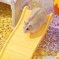 thumbnail image 1 of Runquan Hamster Cage Climbing Ladder Hamster Platform Toy for Small Animals Hedgehog Yellow, 1 of 8