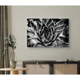 thumbnail image 2 of wall26 Canvas Wall Art Sunburst Aeonium Succulent Botanical Plants Photography Modern Art Farmhouse/Country Closeup Dramatic Black and White for Living Room, Bedroom, Office - 24x36 inches, 2 of 4