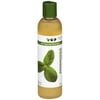 Eden Bodyworks: Peppermint Tea Tree Shampoo, 8 fl oz
