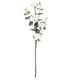 thumbnail image 2 of Ramo artificial de tallos de algodón | 4 Cabezas y Hojas Naturales | Rayon artesanal de 21" | Arreglo floral de decoración del hogar de granja | Manualidades de guirnaldas caseras, 2 of 9