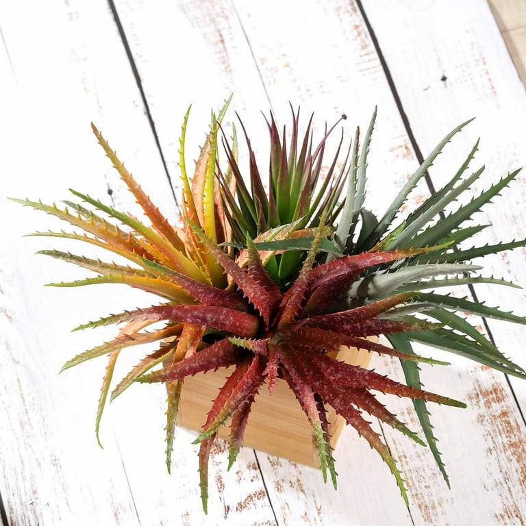 Buy Set of 3, Multi Colored Fake Succulents