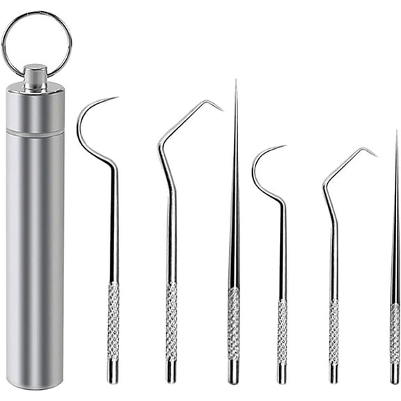Stainless Steel Toothpick Set, Portable Metal Toothpick with Key Ring, Metal Tooth Pick, Metal Toothpicks for Teeth, Reusable Stainless Steel Toothpicks Pocket Set