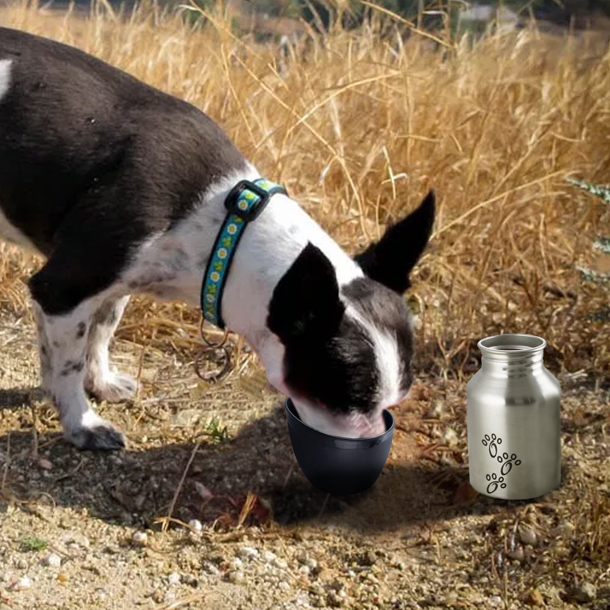 Pefilos 11.84 oz Plastic Fin Cap Pet Travel Dog Water Bottle in Stainless Steel for Small Dogs, Silver and Black S Pefilos 11.84 oz Plastic Fin Cap Pet Travel Dog Water Bottle in Stainless Steel for Small Dogs, Silver and Black S