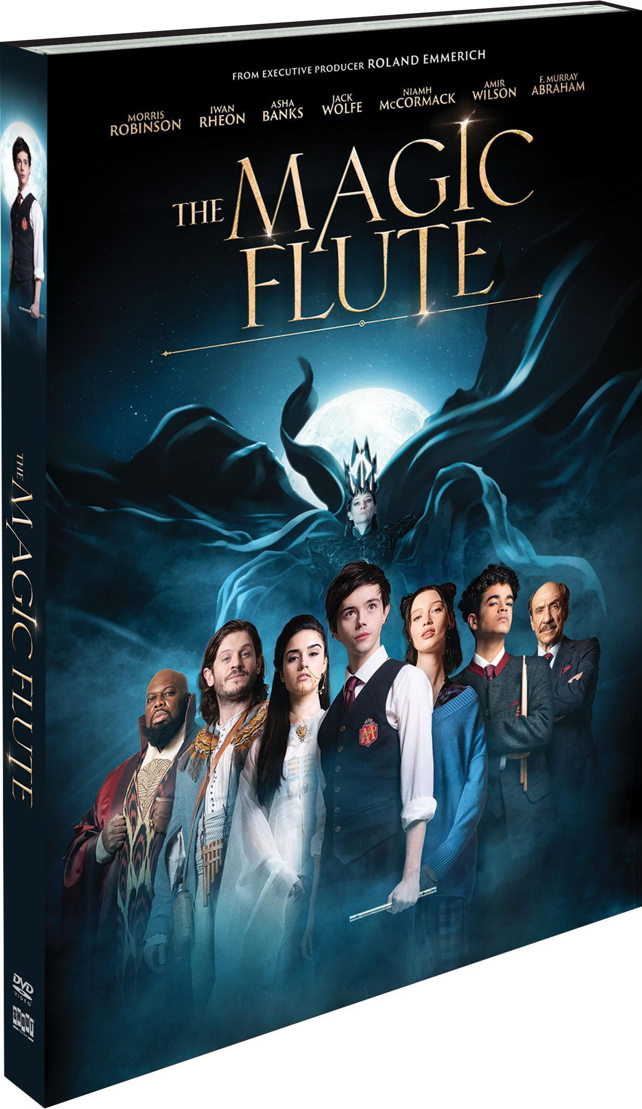 その他 Magic Flute for Children [DVD] 711UMgbWdVL._UF350,350_QL80_.jpg