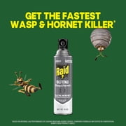 Raid Defend Wasp and Hornet Killer, Outdoor Flying Insect Nest Killer Spray, 14 oz, 3 Ct