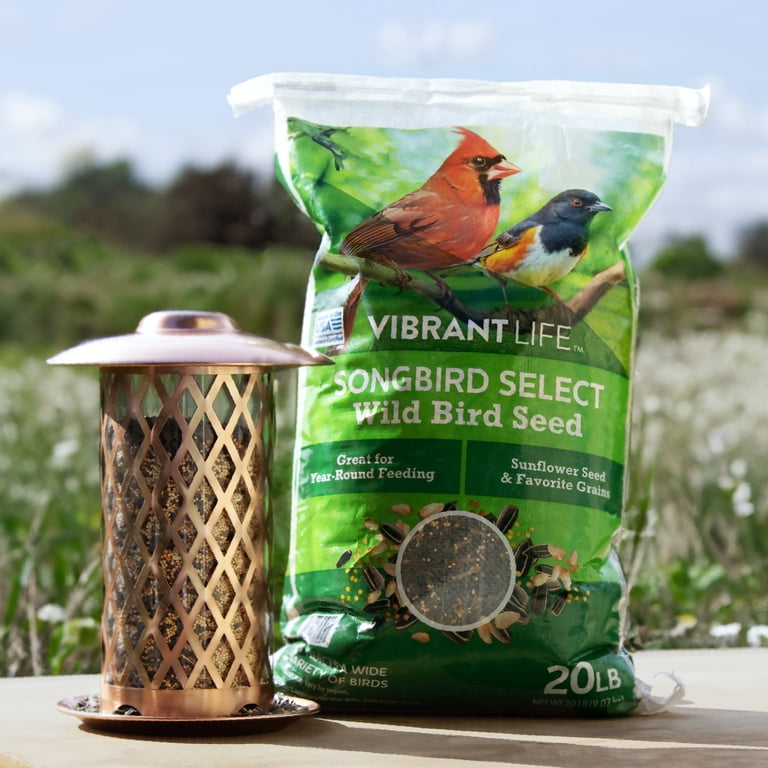 Vibrant Life Songbird Select Wild Bird Seed, 20 lb Bag - Walmart.com