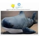 thumbnail image 2 of Almohada de peluche con forma de tiburón HUOGUO Creative New Shark Doll de 1 m, 2 of 4
