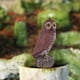 thumbnail image 5 of Escultura de búho, estatua disuasoria de aves, decoración, enemigo natural para el patio de la casa. F, 5 of 8