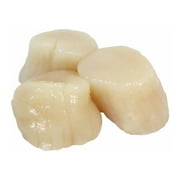 North Atlantic Fresh Wild Caught Sea Scallops, 12 oz