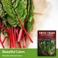 thumbnail image 3 of 2 Packs Ruby Red Rhubarb Swiss Chard Seeds - Non-GMO Heirloom Full Sun Annual Vegetable, 3 of 6