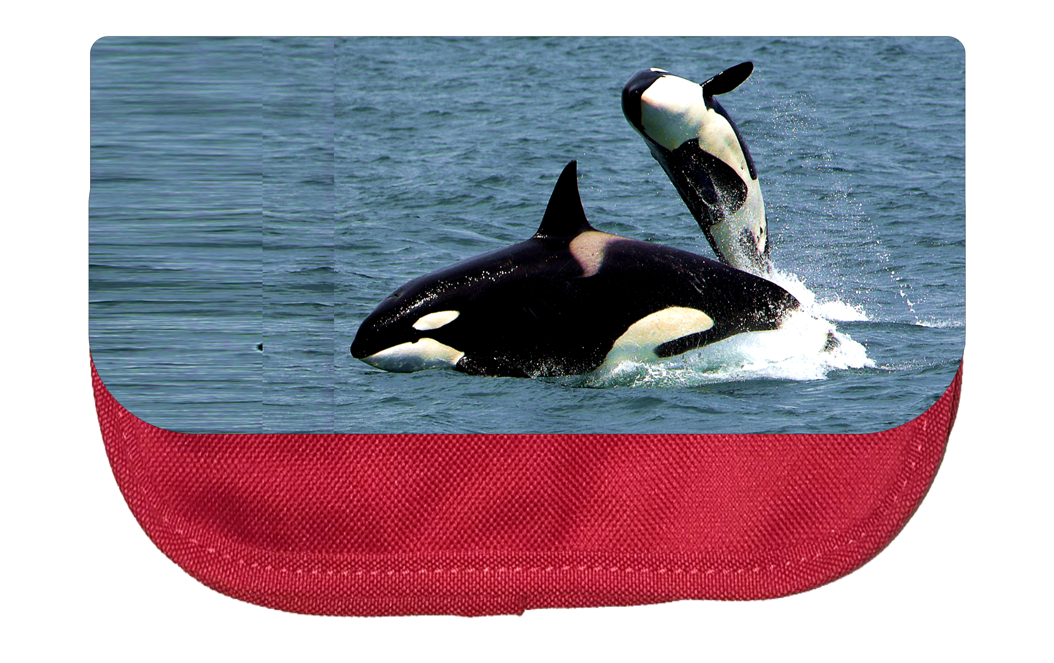 Animal Orca Killer Whales Cosmetic Bag