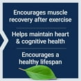 thumbnail image 5 of Taurine, 1000 mg, heart & brain health, blood pressure health support, muscle & exercise performance, essential amino acid, vegetarian, 90 capsules, 5 of 11