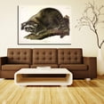 thumbnail image 3 of John James Audubon Painting Cuvier Raccoon By Audubon Canvas Art Birds Framed Wall Art, 3 of 7