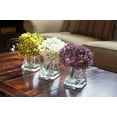 thumbnail image 4 of Hortensia avec Vase (Ensemble de 3), 4 of 7