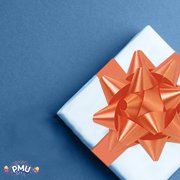 PMU Decorative Star Gift Bows 3-3/4 Inch Medium Orange (12/Pkg) Pkg/1