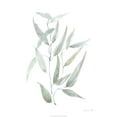 thumbnail image 2 of Goldberger, Jennifer 20x24 White Modern Wood Framed Museum Art Print Titled - Ethereal Eucalyptus I, 2 of 4