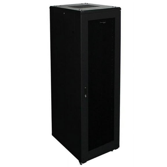 Wavenet 3013-N 40 in. 42U Standing Server Cabinet, Black
