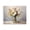 Wildflowers Bouquet Still Life, variant on Stupell Industries Cottage Wildflowers in Country Jar Black Floating Frame Canvas Art, 21 x 17, by Franklyn Gregory