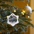 thumbnail image 7 of 3drose, Mexico, Quintana Roo, Tulum, Black Iguana Lizard - Sa13 Jeg0742 - Julie Eggers, 3 inch Snowflake Porcelain Ornament, 7 of 7