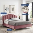 thumbnail image 4 of Modway Olivia Lit Plateforme Grand Format en Velours de Performance et Polyester, Rose Poussiéreux, 4 of 11