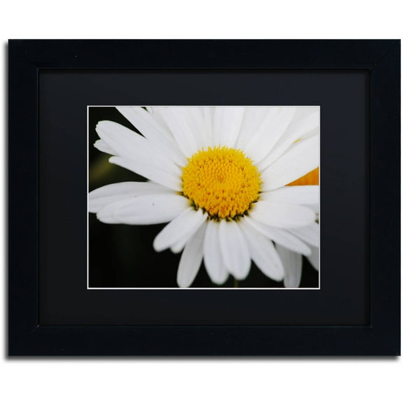 Trademark Fine Art "Sweet Splendor" Canvas Art by Monica Mize, Black Matte, Black Frame