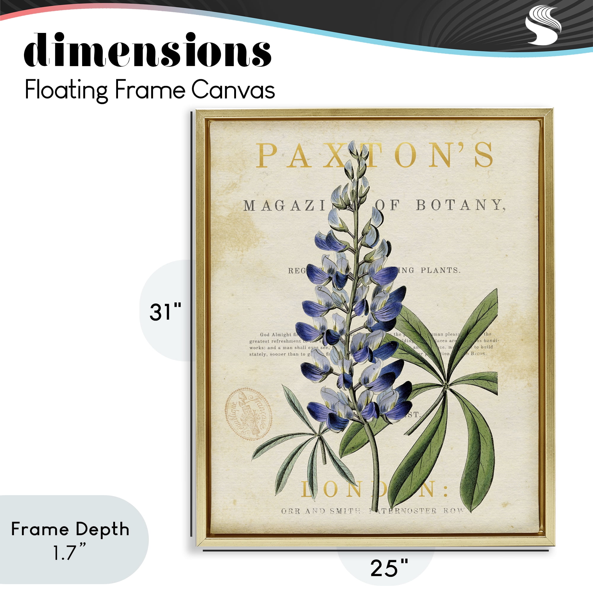 Stupell Industries Natural Botany Lupine Gold Framed Floater Canvas Wall Art, design by Susan Arnot