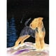 Carolines Treasures SS8464GF Starry Night Welsh Terrier Flag - Taille du Jardin- 11 x 15 Po. – image 1 sur 3
