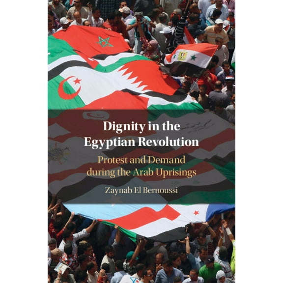 Dignity in the Egyptian Revolution, (Paperback)