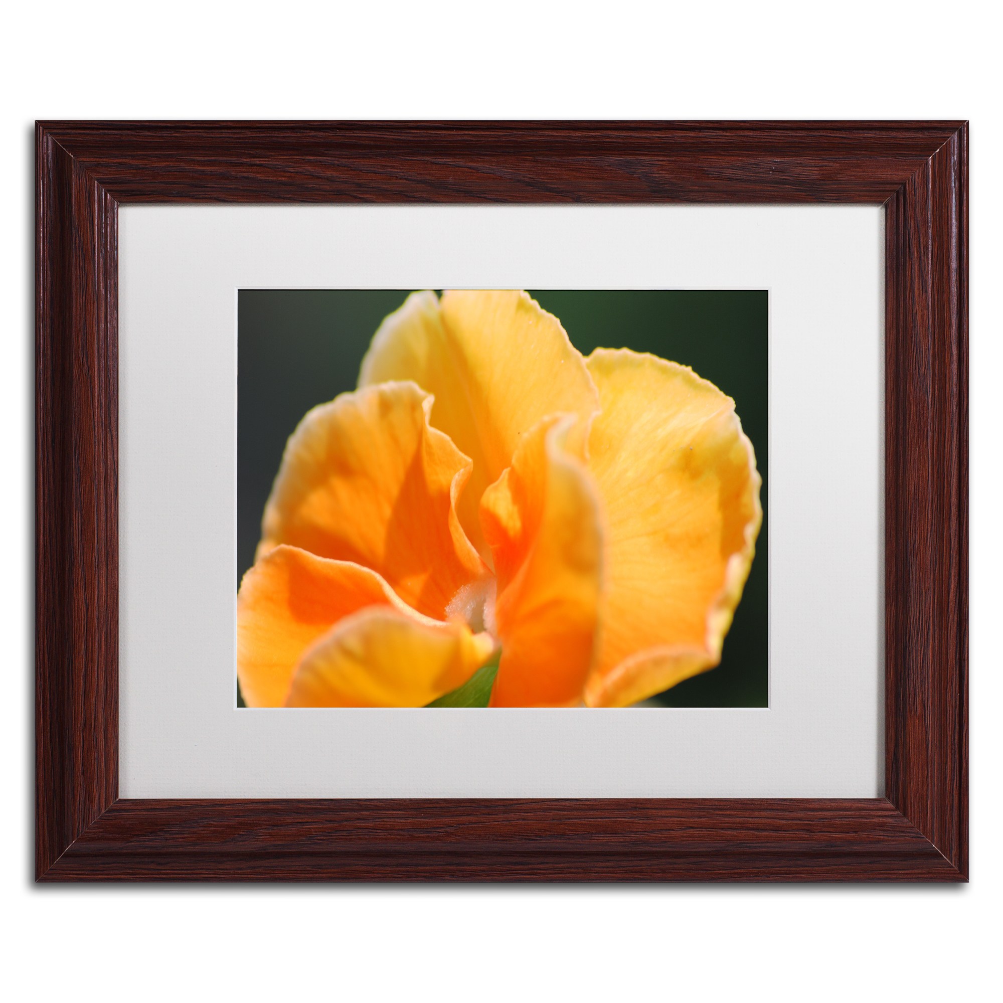 Trademark Fine Art "Simple Compassion" Canvas Art by Monica Mize, White Matte, Wood Frame